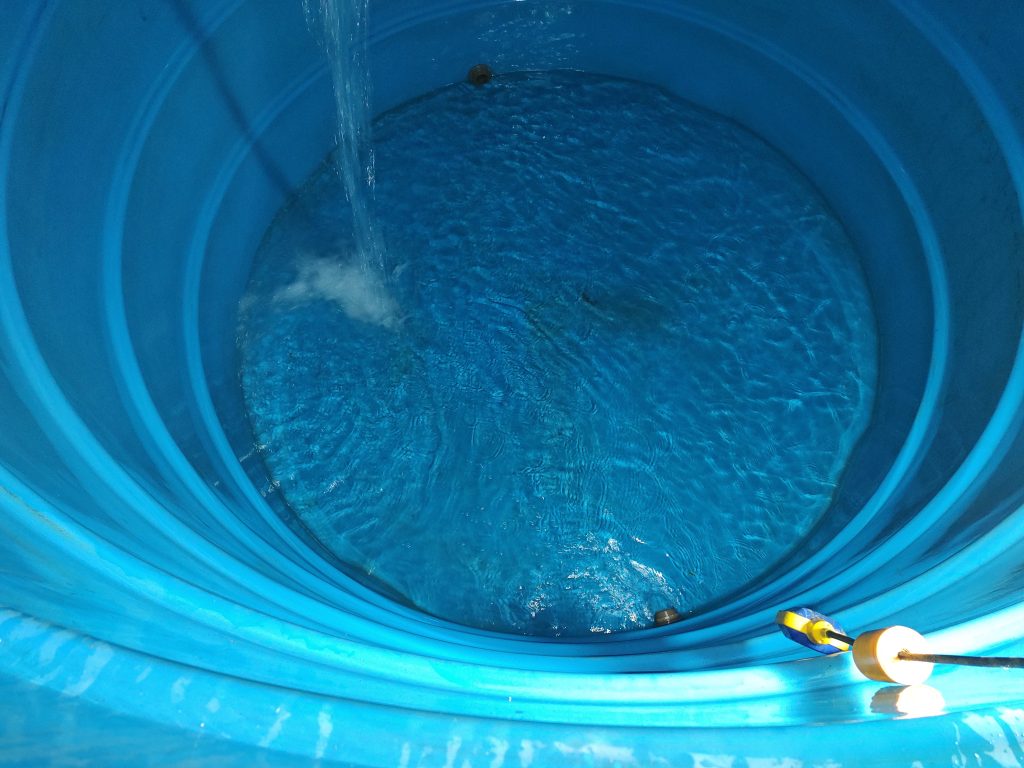 O Que Acontece Se Eu Não Limpar Minha Caixa d’Água