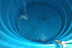 O Que Acontece Se Eu Não Limpar Minha Caixa d’Água